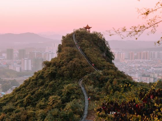 Dazhong Mountain