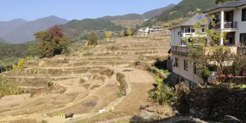 天目村