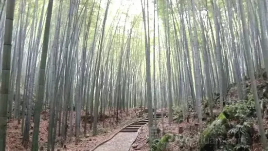 五峯山國家森林公園