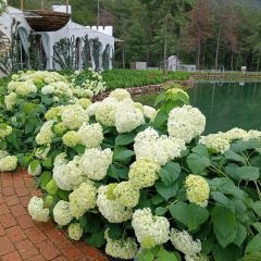 听花谷餐厅 User Photo
