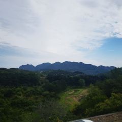 Limutaiqihushanzhuangjingpinnongjiayuan User Photo
