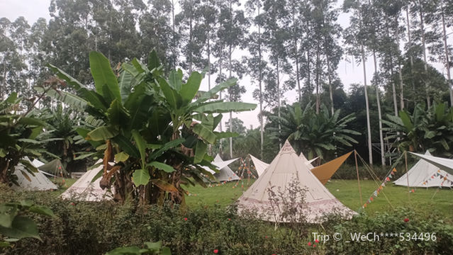Sanfo Hood Rose Valley Tent Camp