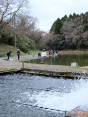 Fishing Club Joyvalley