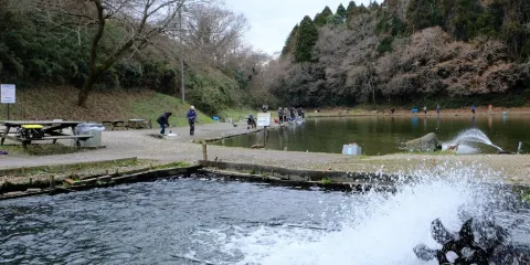 Fishing Club Joyvalley