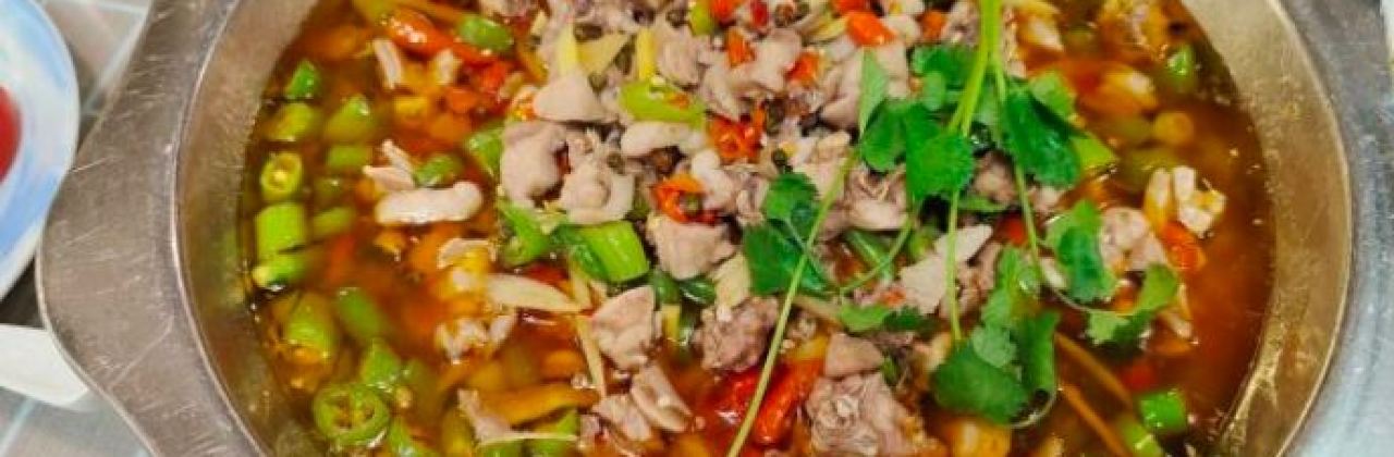 Rabbit Walk The World HONG HE XIAN GUO TU