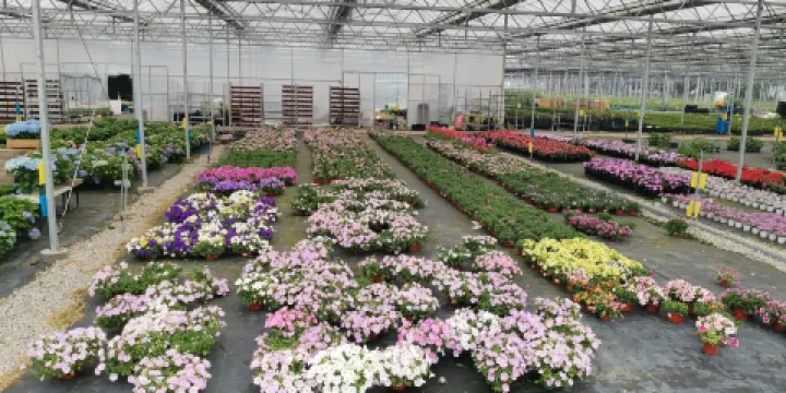 長安花卉科技示範園區