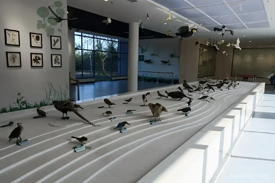 Exhibition Hall of Laiyi Lake National Wetland Park