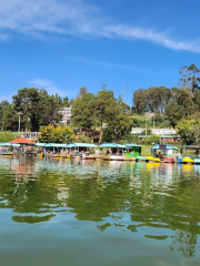 Tamilnadu Tourism Ooty Boat House