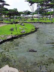 Kamuiwa Comprehensive Park