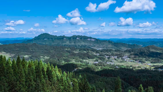 yun duan luo han lin