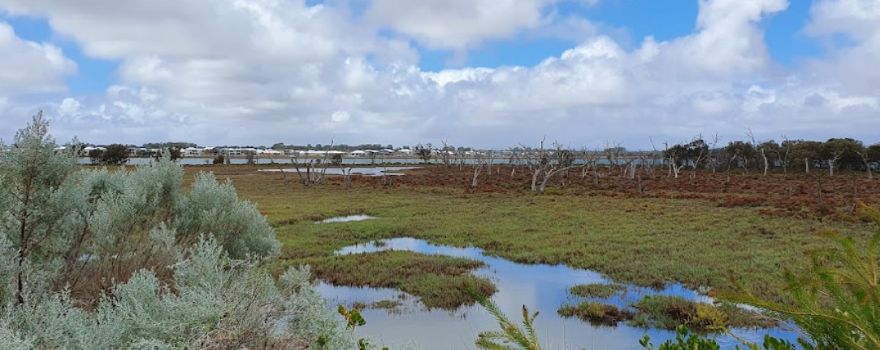 Osprey Waters Foreshore Playground