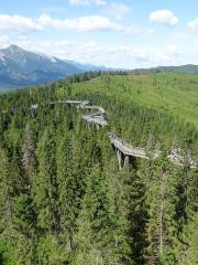 Treetop Walk Bachledka