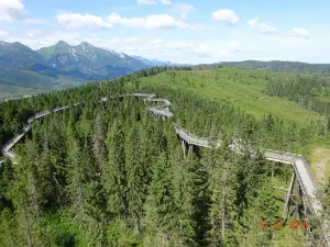 Treetop Walk Bachledka