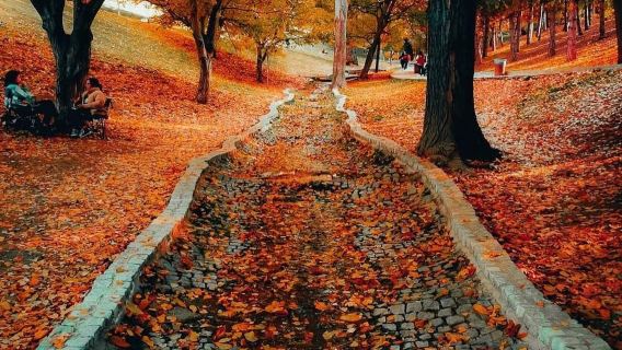 Segmenler Park