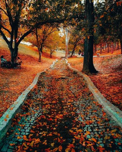 Segmenler Park