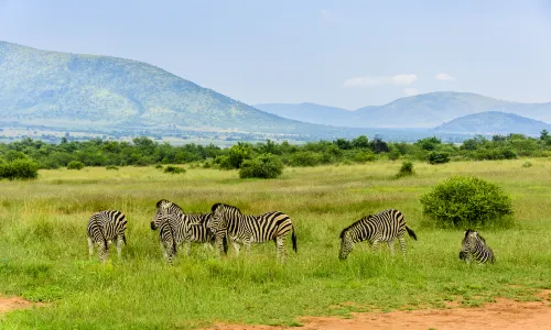 Pilanesberg National Park