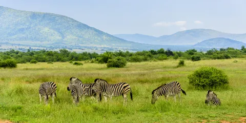 匹林斯堡國家公園