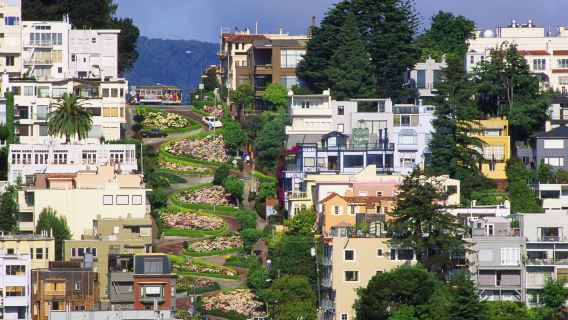 舊金山+斯坦福大學+硅谷+漁人碼頭+九曲花街+金門大橋一日遊