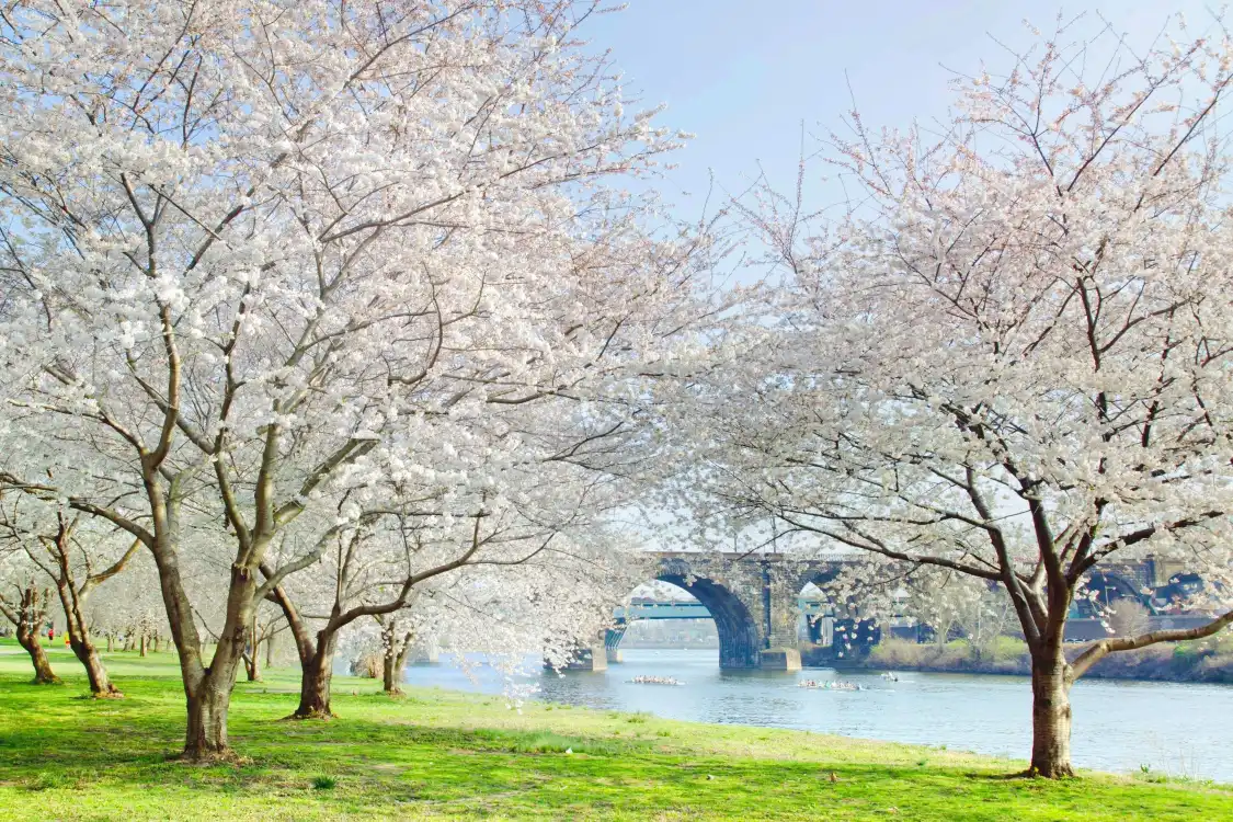 โรงแรมใกล้Fairmount Park