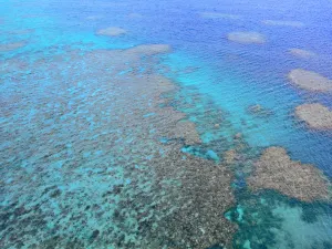 Moore Reef