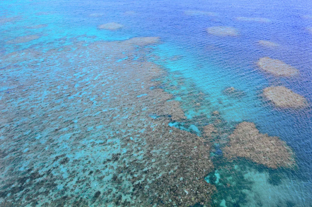 2_Moore Reef