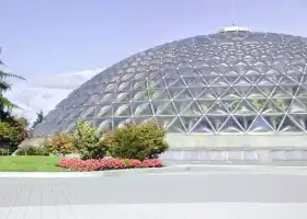 Bloedel Conservatory