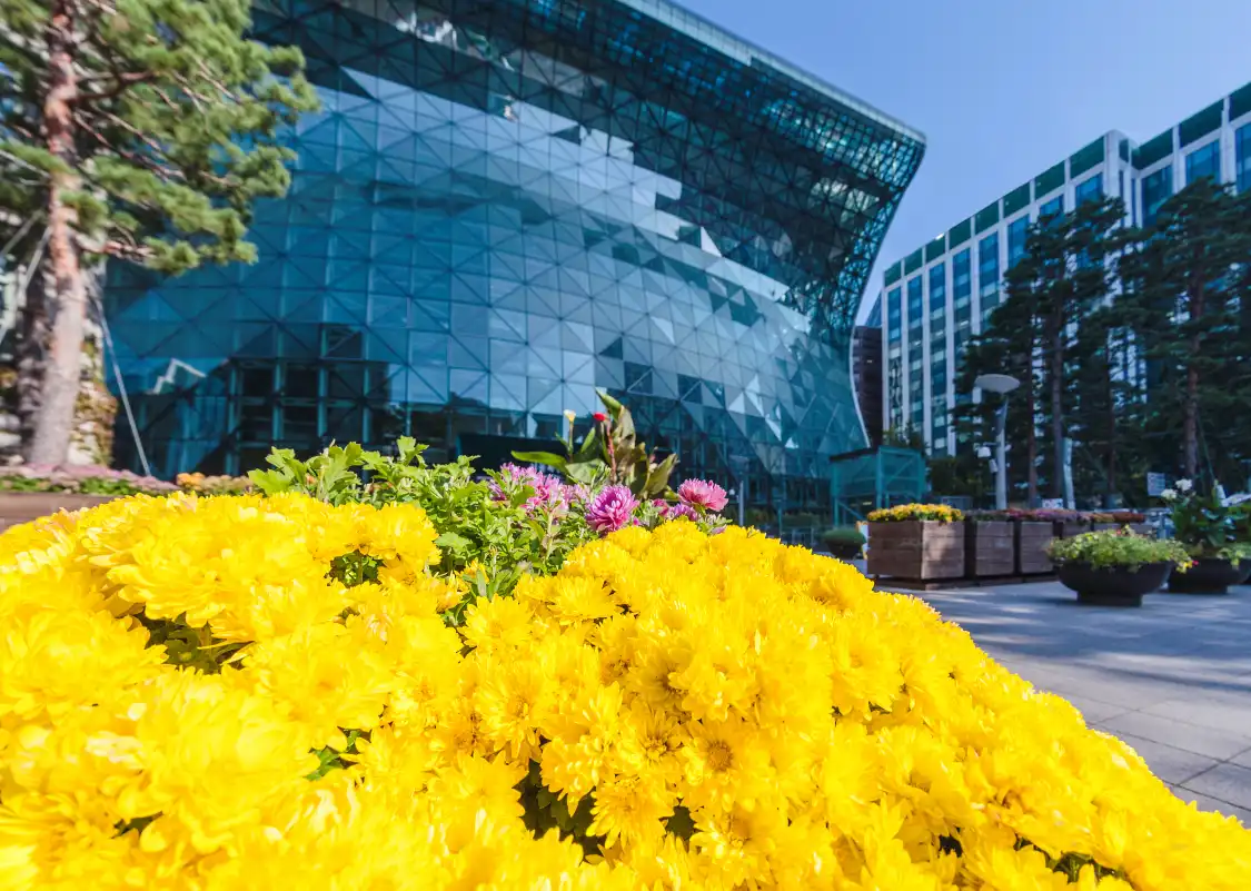 Hotels near Seoul City Hall