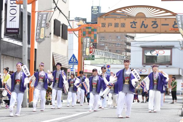 사카도 요사코이 축제 | 사카도 시