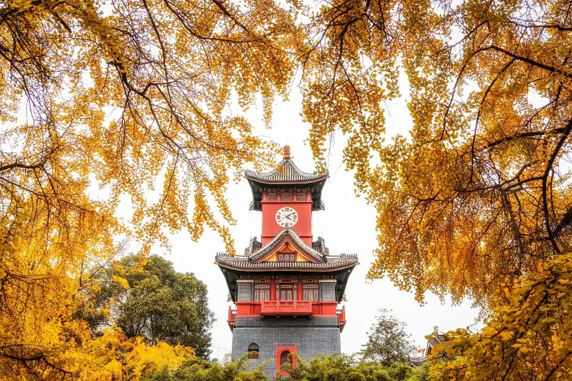 Hotels near Sichuan University