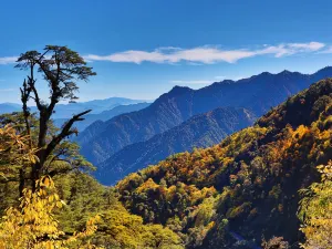 Gaoligongshan National Nature Reserve