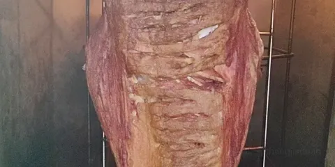 綠色港灣迎賓館·宴會餐廳