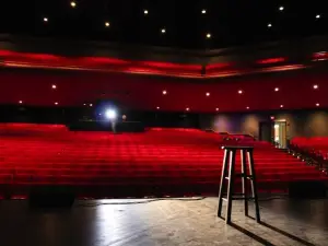 Collins Center for the Arts
