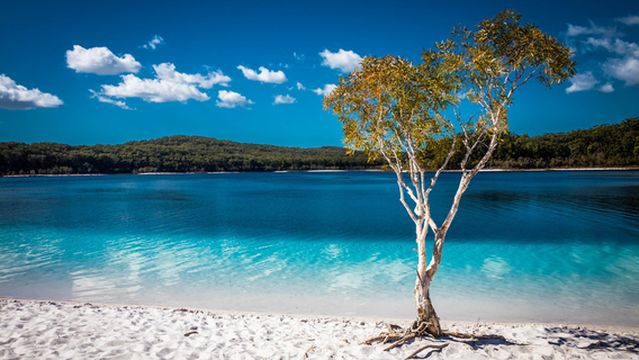 Lake McKenzie