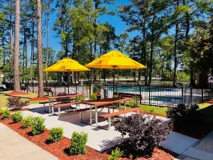 Savannah South KOA Holiday