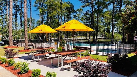 Savannah South KOA Holiday