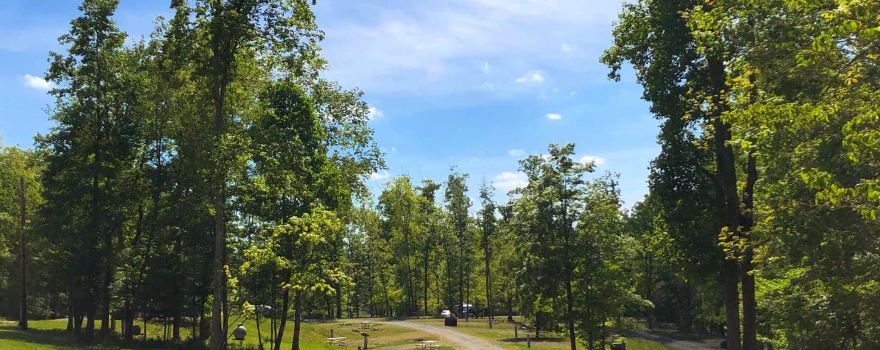 Mountain Lake Campground and Cabins