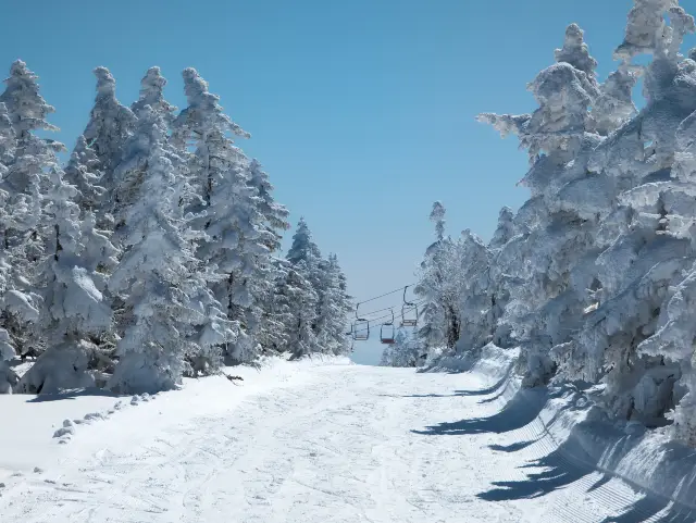 Skiing in Nagano