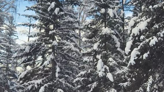 bai ha ba te se cun zhai