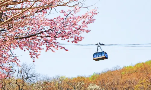 Mt. Moiwa