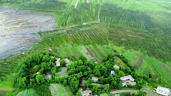 Caohai National Nature Reserve