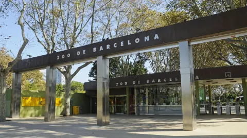 Barcelona Zoo attraction in Spain