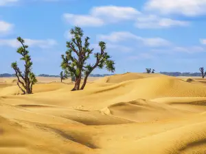 Dubai Desert Conservation Reserve