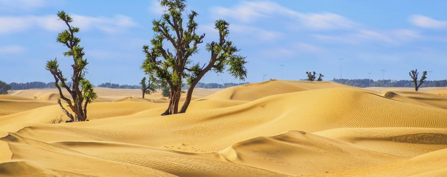 Dubai Desert Conservation Reserve