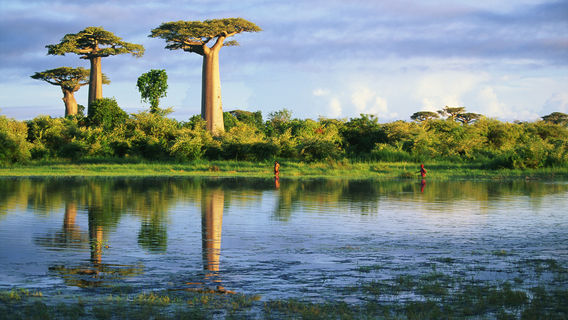 Madagascar Decouverte