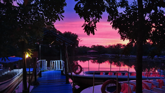 Klias River Cruise