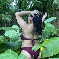 Gem in the forest