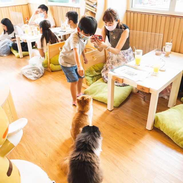 貓奴好去處 貓之茶房