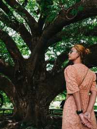Amazing ต้มจามจุรียักษ์ กาญจนบุรี