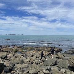 The Craypot Kitchen & Bar Kaikoura 여행 사진
