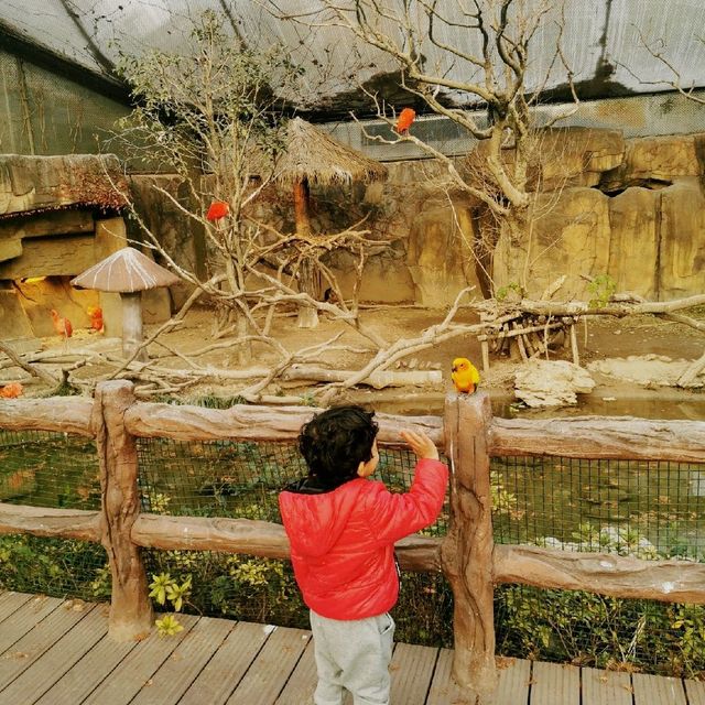 Animal park